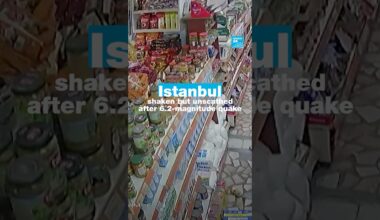 Istanbul shaken but unscathed after 6.2-magnitude quake • FRANCE 24 English