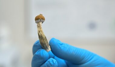 Switzerland is home to Europe’s only psychedelics treatment