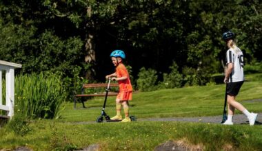 Warm start to summer: Temperatures reach 16.6°C