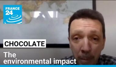 Easter celebrations across the world: The environmental impact of chocolate • FRANCE 24 English