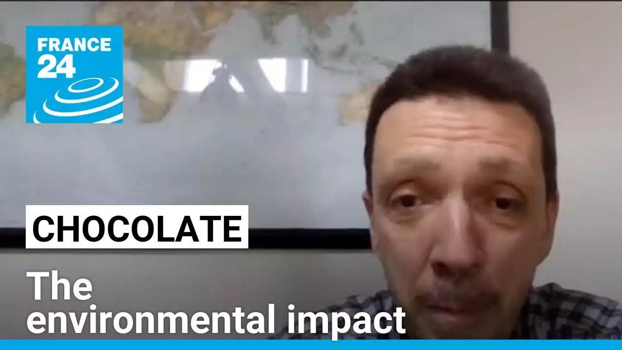 Easter celebrations across the world: The environmental impact of chocolate • FRANCE 24 English