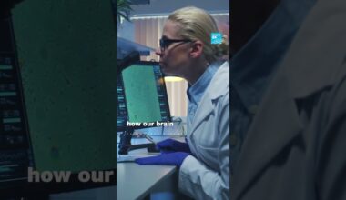 Olo: A new colour no one has seen before🎨 • FRANCE 24 English