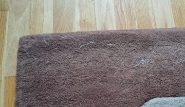 What's leaving this trail on the rug?