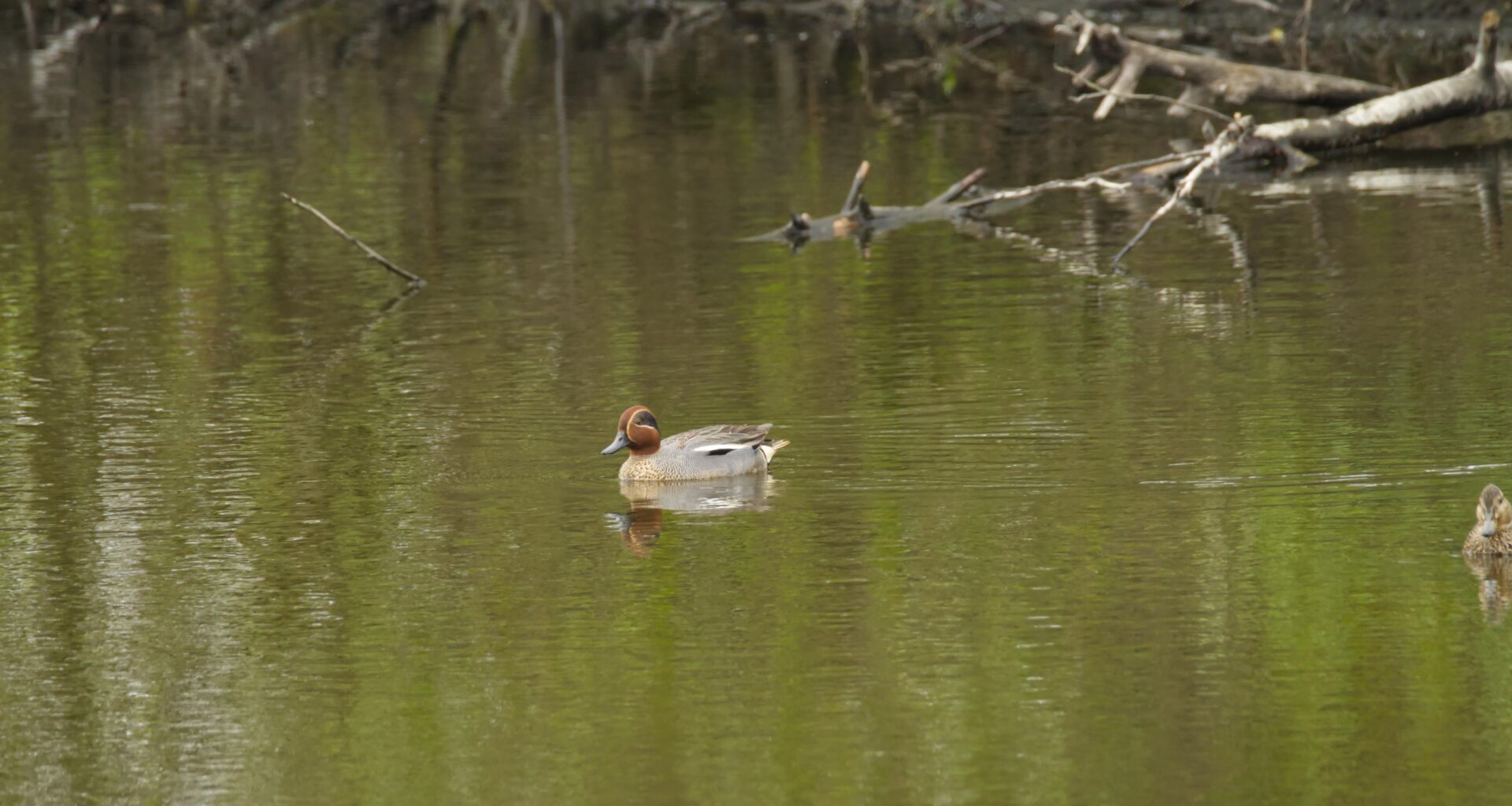 James T. Krik, Captain der Enteprise