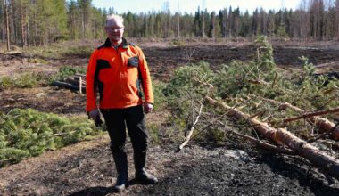 Virroilla maastopalo – kipinä lähti moottorisahasta kesken puunkaadon | Pirkanmaa