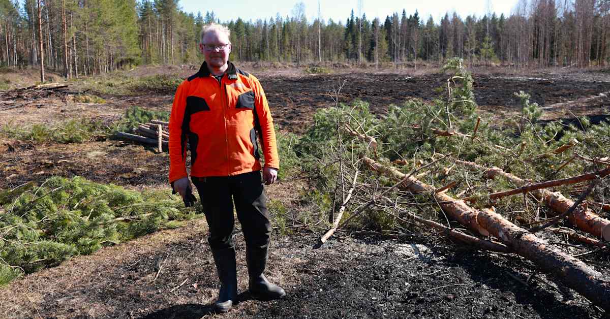 Virroilla maastopalo – kipinä lähti moottorisahasta kesken puunkaadon | Pirkanmaa