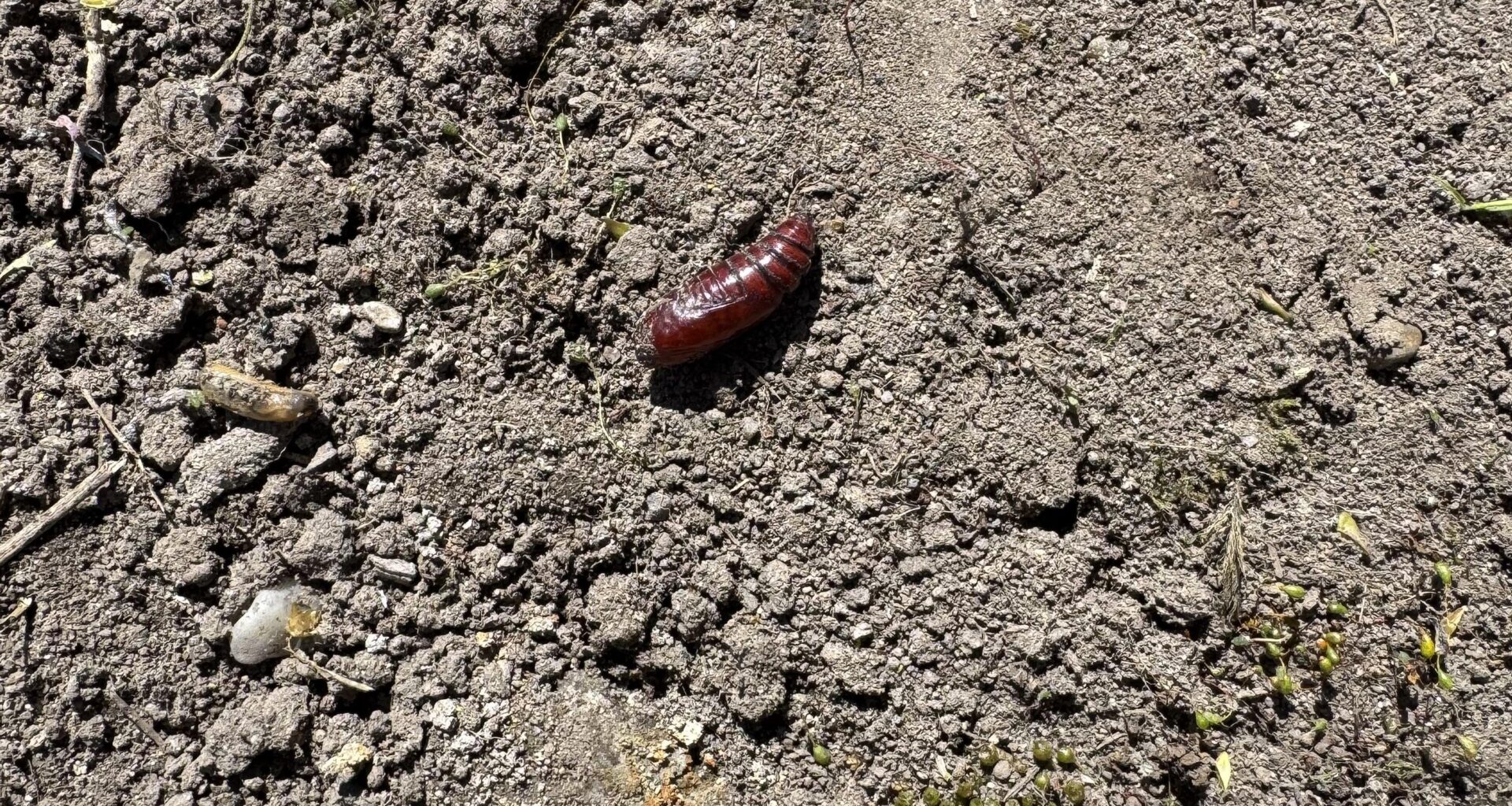 Was ist das?