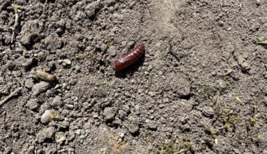 Was ist das?