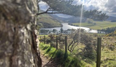 A picture that I took in the pentlands!