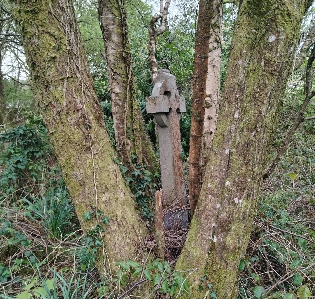 Strange find today