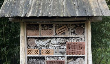 Insekten Hotel Berliner Zoo