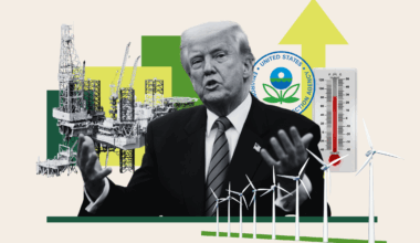 Our Environment After Trump