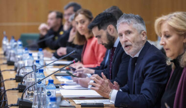 Fernando Grande-Marlaska durante la reunión del Comité de Coordinación extraordinario para la declaración de emergencia