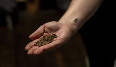 Has your coffee become expensive? Climate change and Trump tariffs may be the culprits | World News