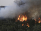 Israel PM says planes from Italy, Croatia arriving soon to help fight fires — Naharnet