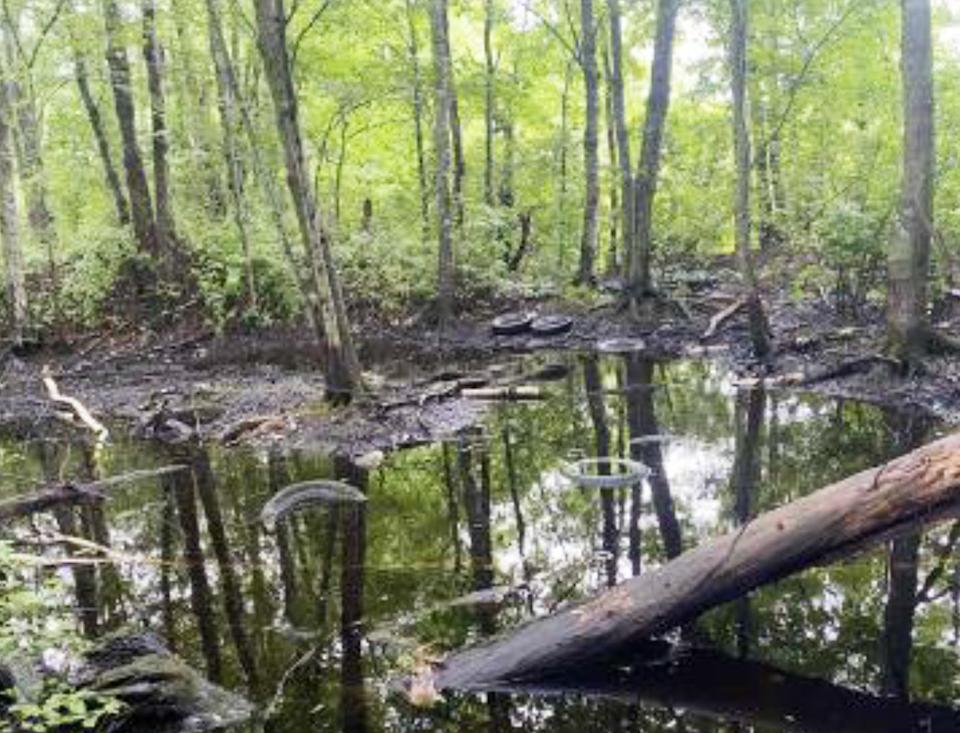 Charter Contracting Co., a company specializing in brownfield remediation, said it is proposing to cap the former Swansea town landfill to prevent environmental damage to nearby wetlands.