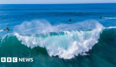 Could taking carbon out of the sea cool down the planet?