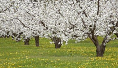 Времето в понеделник – облачно, но топло - България
