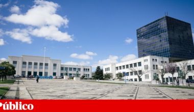 EUA enviam questionário ideológico a universidades lusas e cancelam programa com IST | Ensino Superior