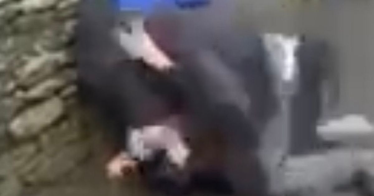 Moment dad slaps, bites, and kicks teen outside Huddersfield school