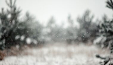 Sleet Falls in Tučepi as Cold Snap Grips South of Croatia