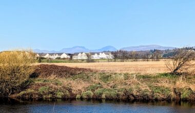 It's a braw wee day eh?