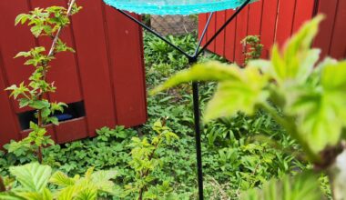 Weitere Wasserstelle