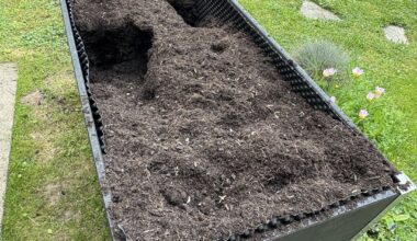 Was für ein Tier wütet hier in meinem Hochbeet?