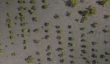 Credit: UNEP/Duncan Moore