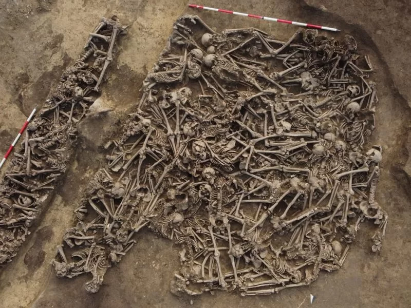 A Mass Grave with Remains of 150 Roman Legionaries in Vienna Is First Direct Evidence of Combat on Danube Limes