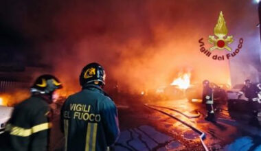 Tesla dealership fire in Rome adds to European backlash over Musk's politics-Xinhua