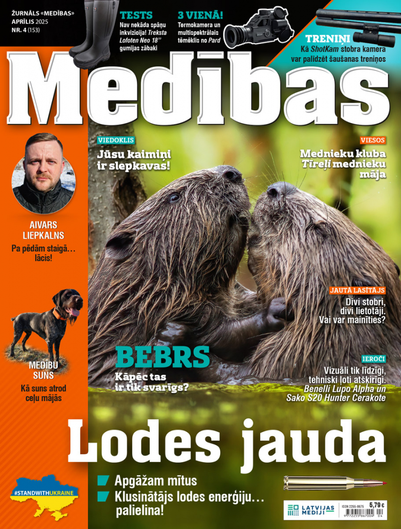Žurnāls