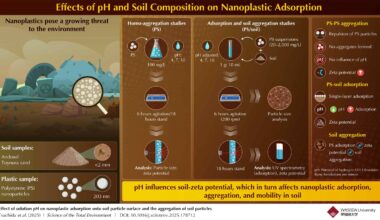 Researchers investigate the effect of soil pH and surface properties on the adsorption and aggregation behavior of plastic nanoparticles.