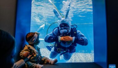 Vancouver Aquarium marks Easter with underwater Easter Bunny in Canada-Xinhua