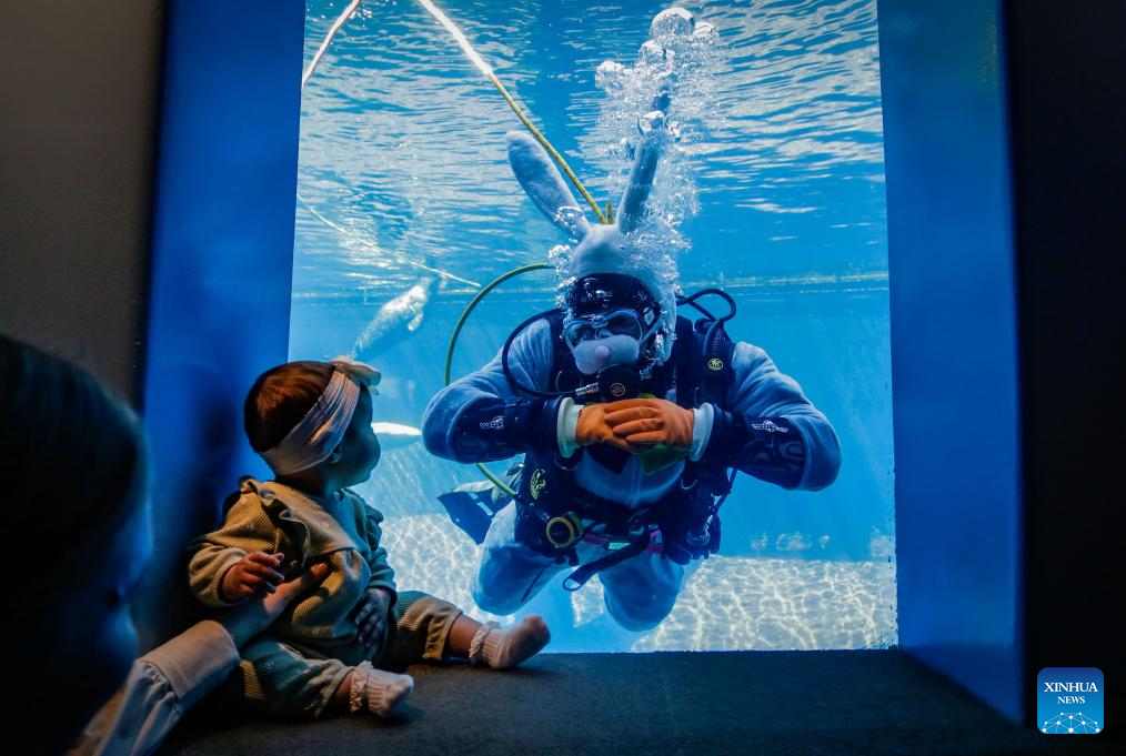 Vancouver Aquarium marks Easter with underwater Easter Bunny in Canada-Xinhua