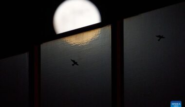 Full moon seen in Warsaw, Poland-Xinhua