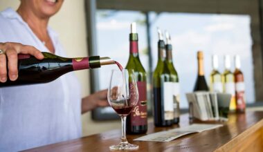 La consommation mondiale de vin au plus bas depuis 1961