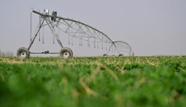 China restores Belgium-sized grasslands annually-Xinhua