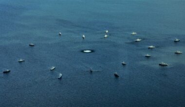 NATO concludes Baltic Sea mine countermeasure exercise