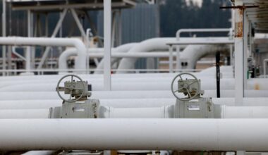 The Straits Times logo