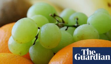Schools in Spain required to serve fruit, vegetables and fish in fight against obesity | Spain