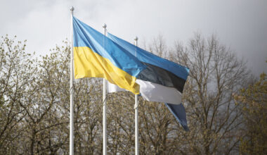 Estonian volunteer fighter reported missing in Ukraine | News