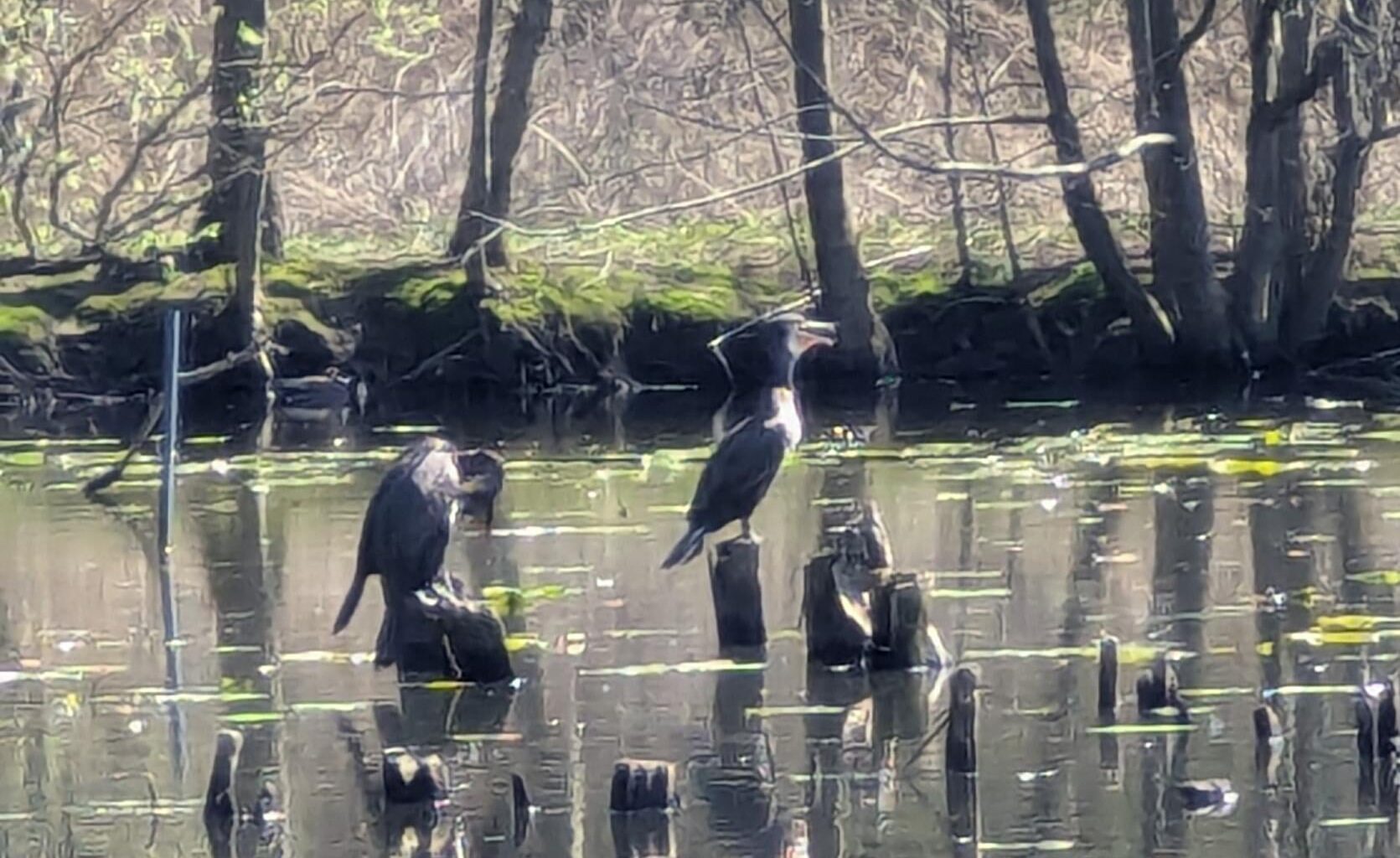 Erkennt jemand die beiden hier?
