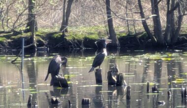 Erkennt jemand die beiden hier?