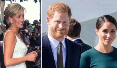 Princess Diana’s ‘Would Have Discouraged’ Prince Harry’s Exit