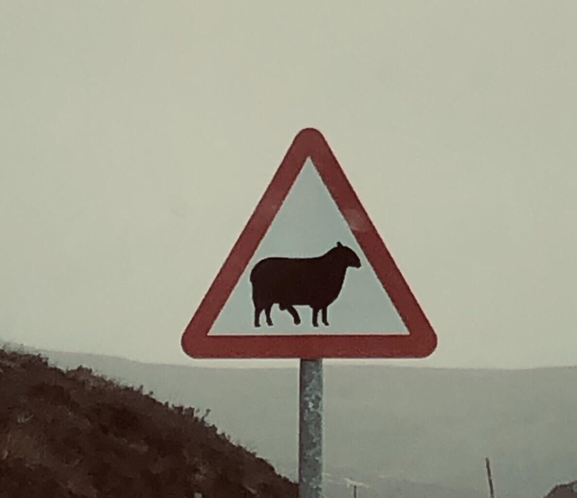 My favourite part of visiting the highlands were the signs