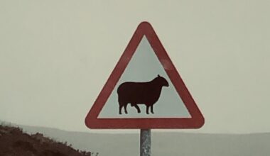 My favourite part of visiting the highlands were the signs