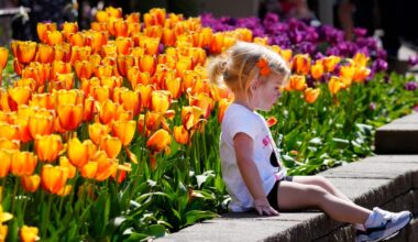 Things to do in Cincinnati this week: March 31-April 6