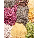 Our Seeds, Our Future: Protecting Biodiversity and Farmers Rights
