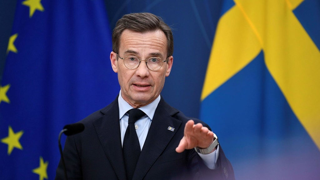 Annie Reuterskiöld: Kristerssons regering har en akilleshäl
